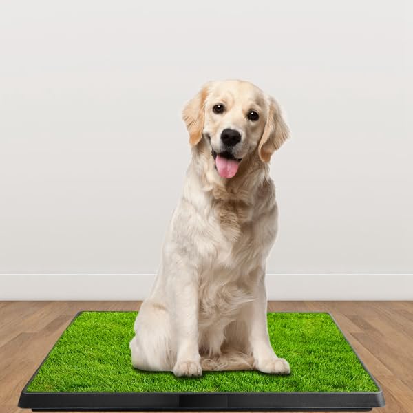 Indoor Outdoor Dog Potty with Artificial Turf Grass Mat 25x20 in K503