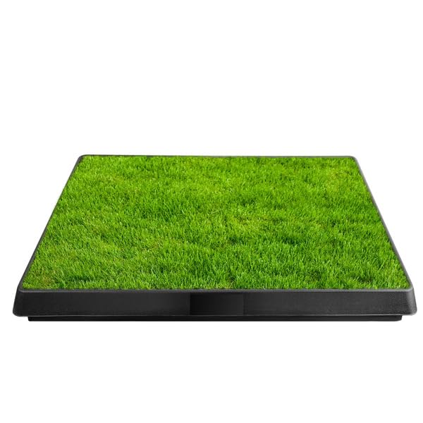 Indoor Outdoor Dog Potty with Artificial Turf Grass Mat 25x20 in K503