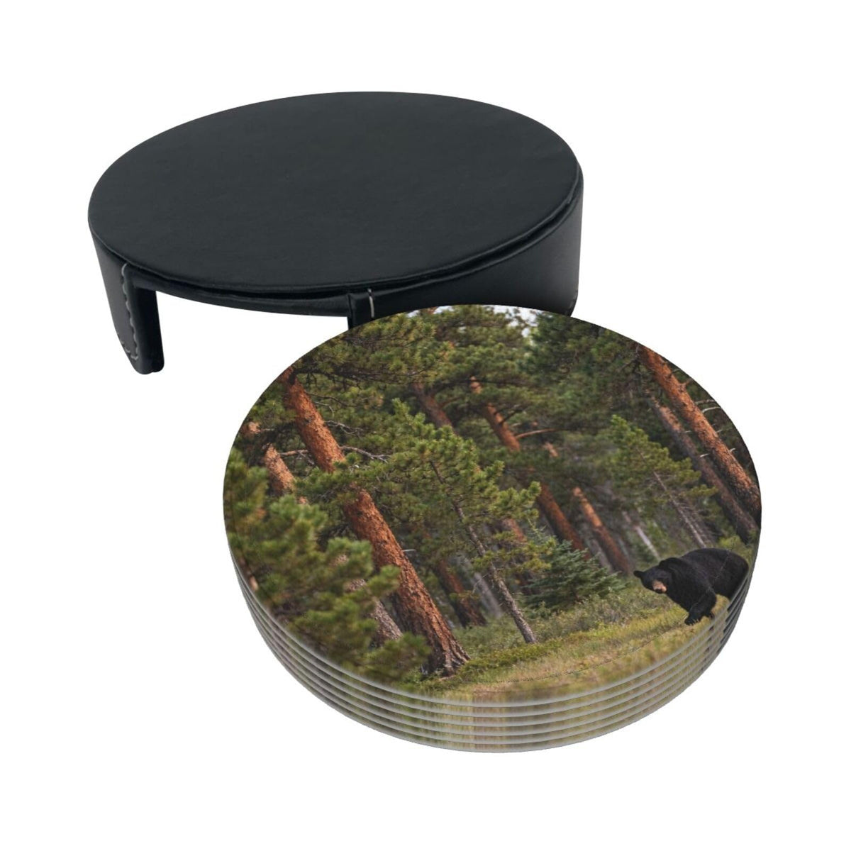 Black Bear Pattern Leather Coasters Set of 6 R2038