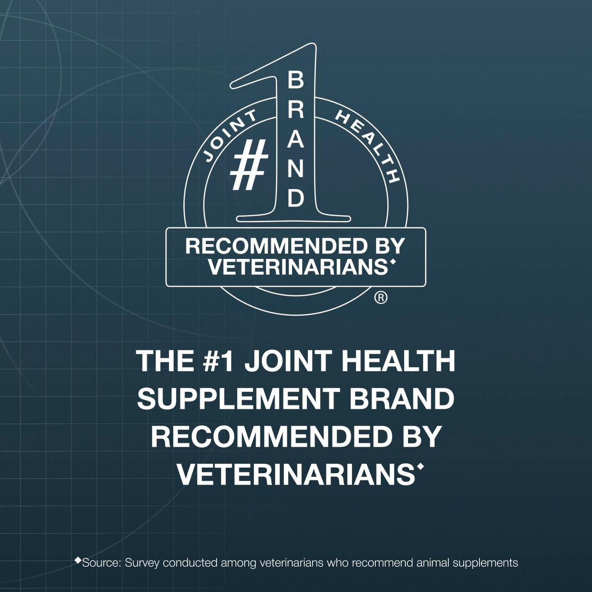 Chewable Tablets Joint Supplement for Large Dogs U727985