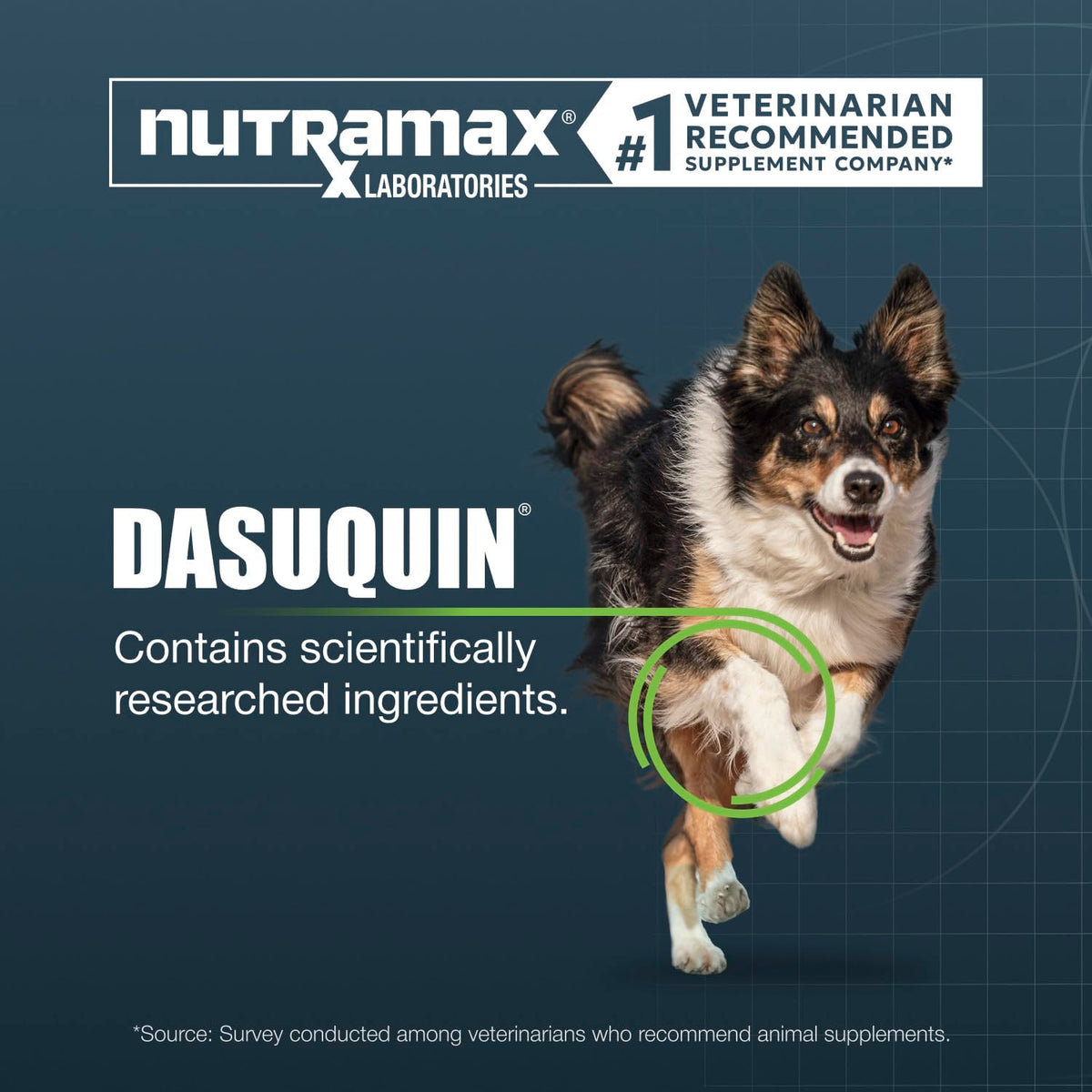 Chewable Tablets Joint Supplement for Large Dogs U727985