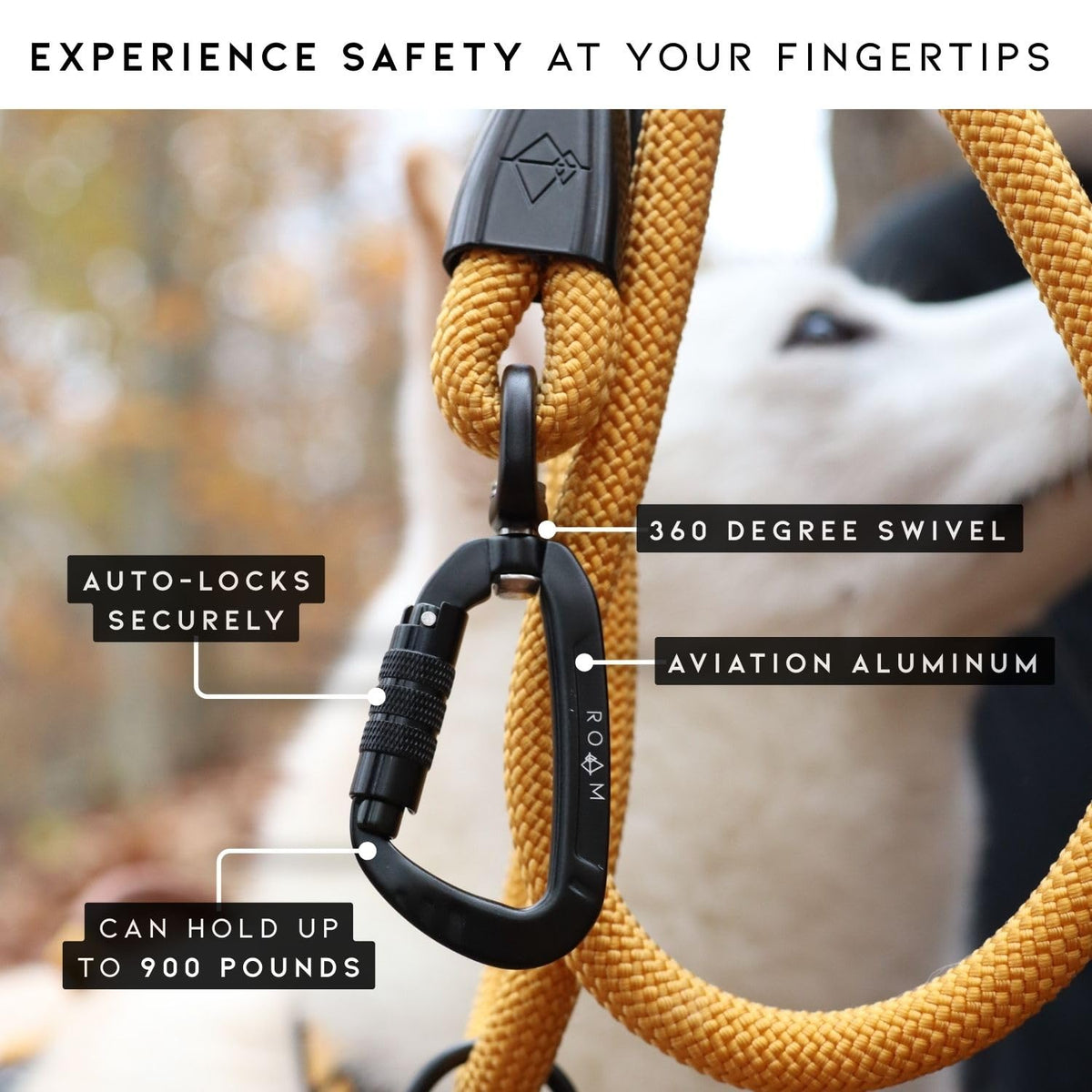 Climbing Rope Leash with Autolocking Carabiner, 6ft Z81564