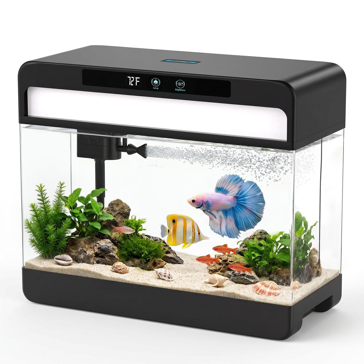 3 Gallon Black Aquarium Starter Kit D6267
