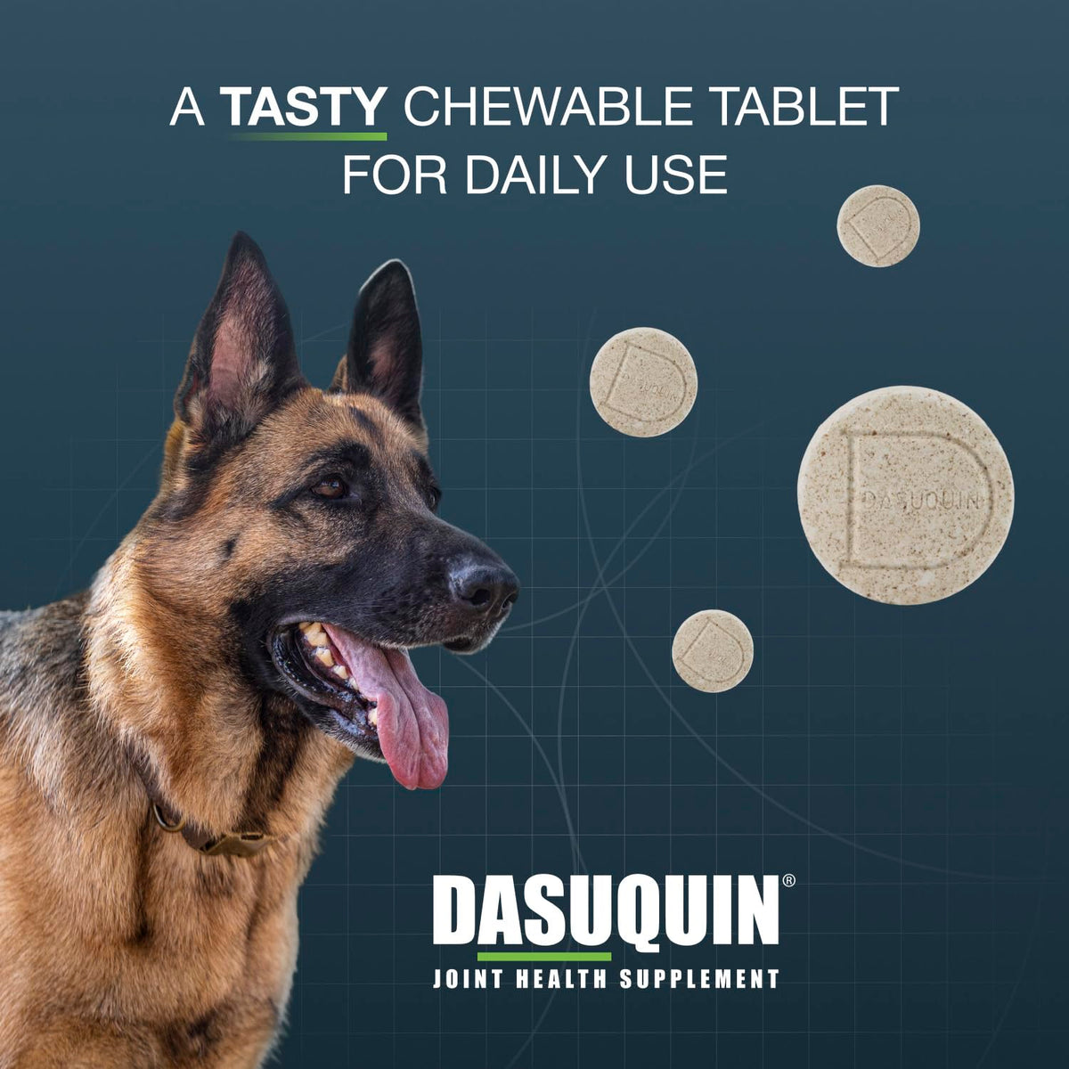 Chewable Tablets Joint Supplement for Large Dogs U727985