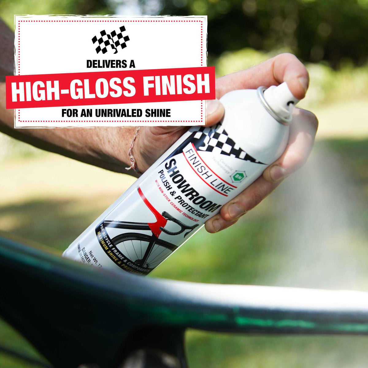 Polish And Protectant Aerosol, 12 fl oz V914199