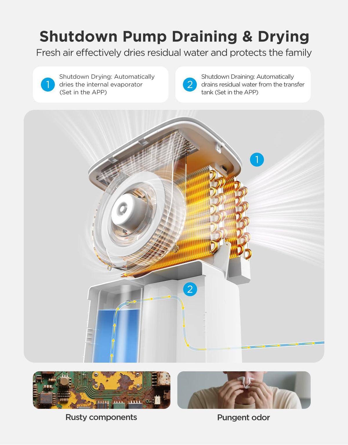Dehumidifier with Mini Air Purifier T184854