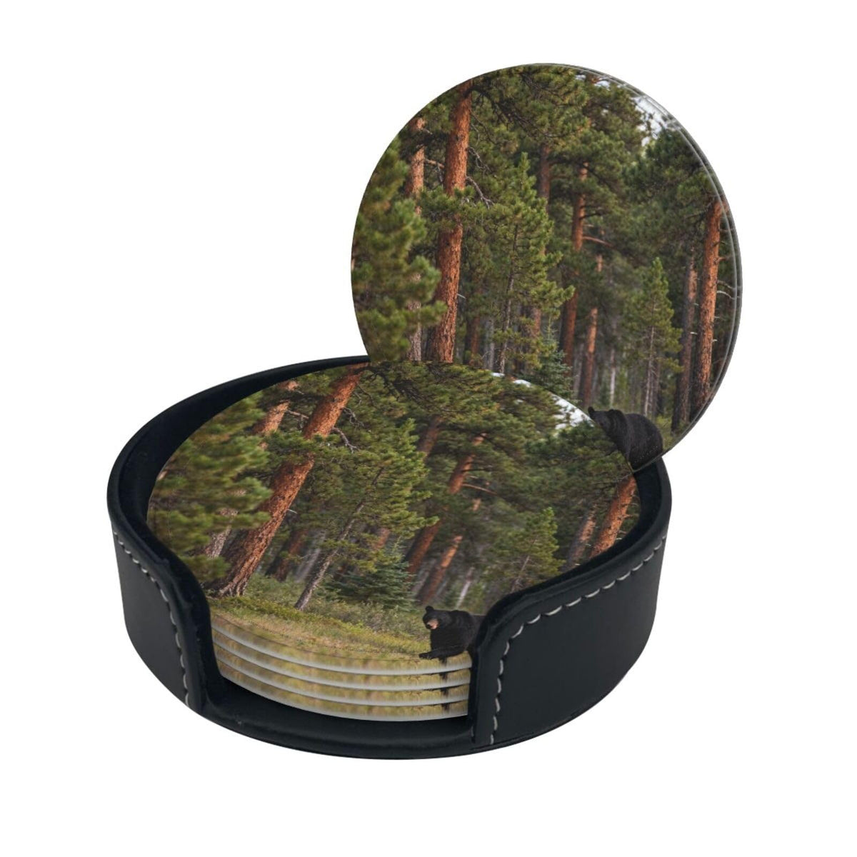 Black Bear Pattern Leather Coasters Set of 6 R2038