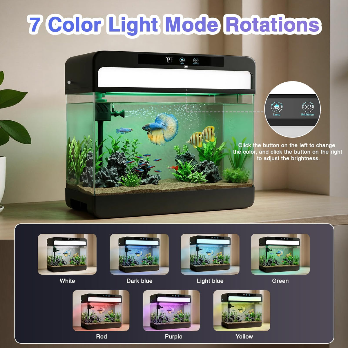 3 Gallon Black Aquarium Starter Kit D6267
