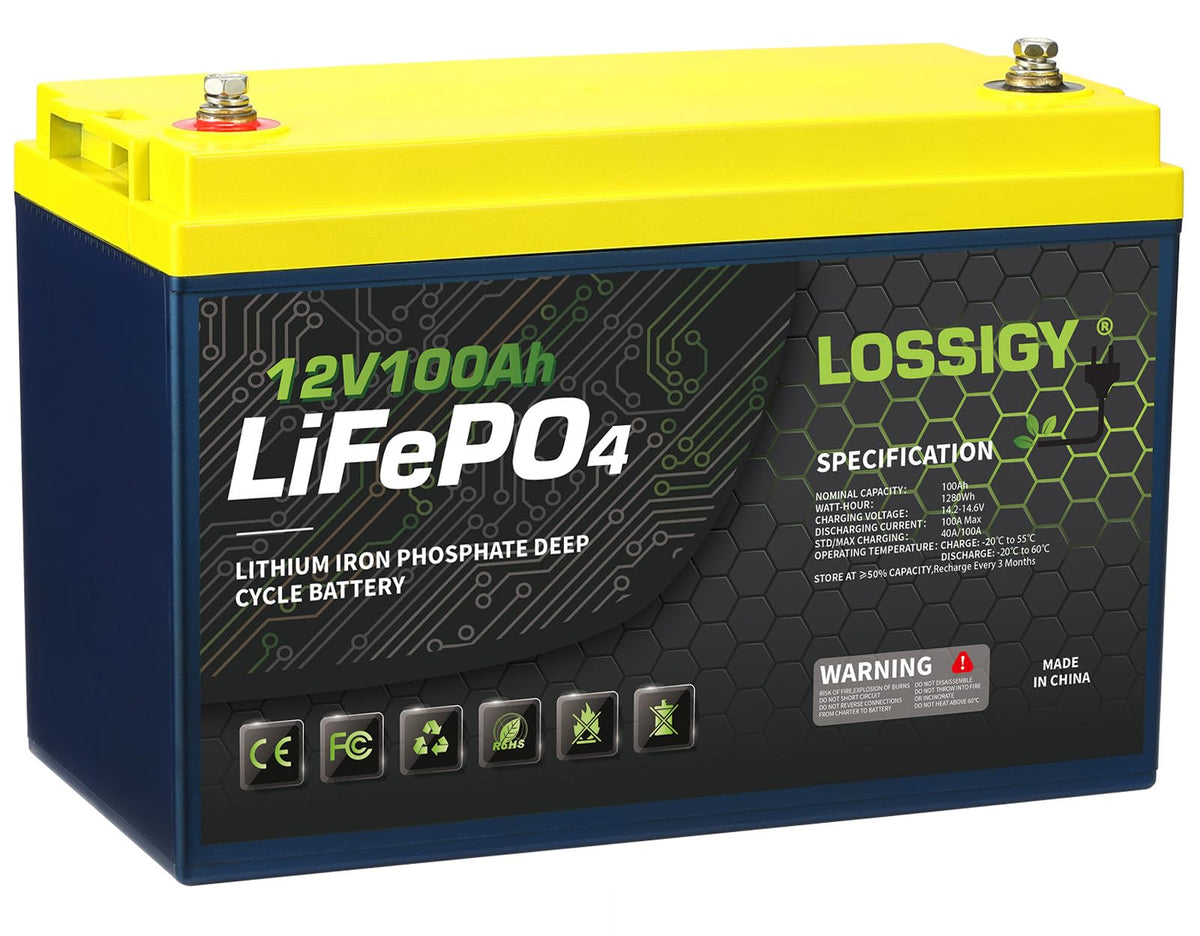 12 Volt 100Ah LiFePO4 Deep Cycle Battery L49203