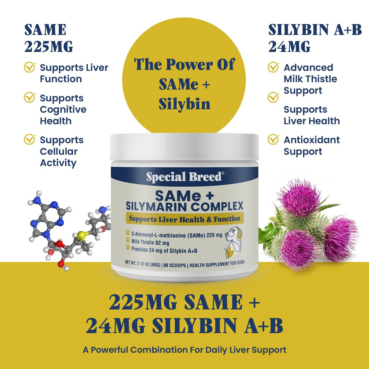 Milk Thistle Supplement Powder G99228