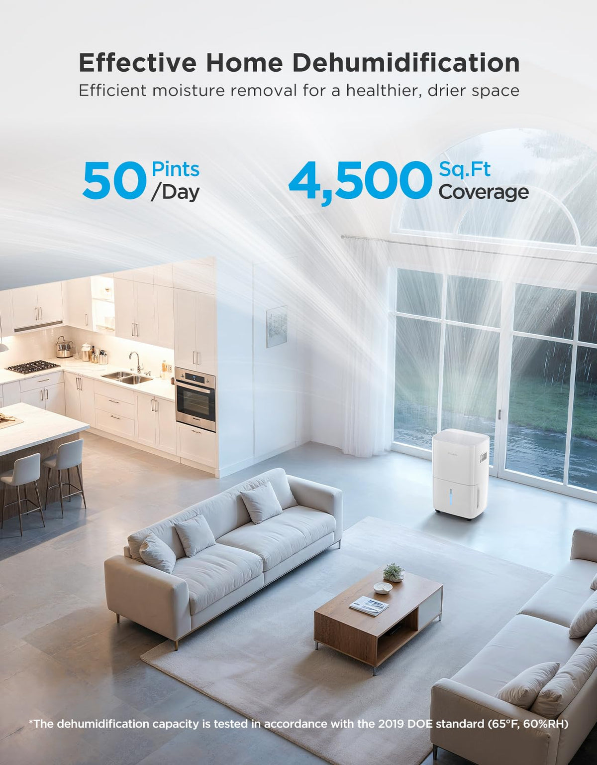 Dehumidifier with Mini Air Purifier T184854