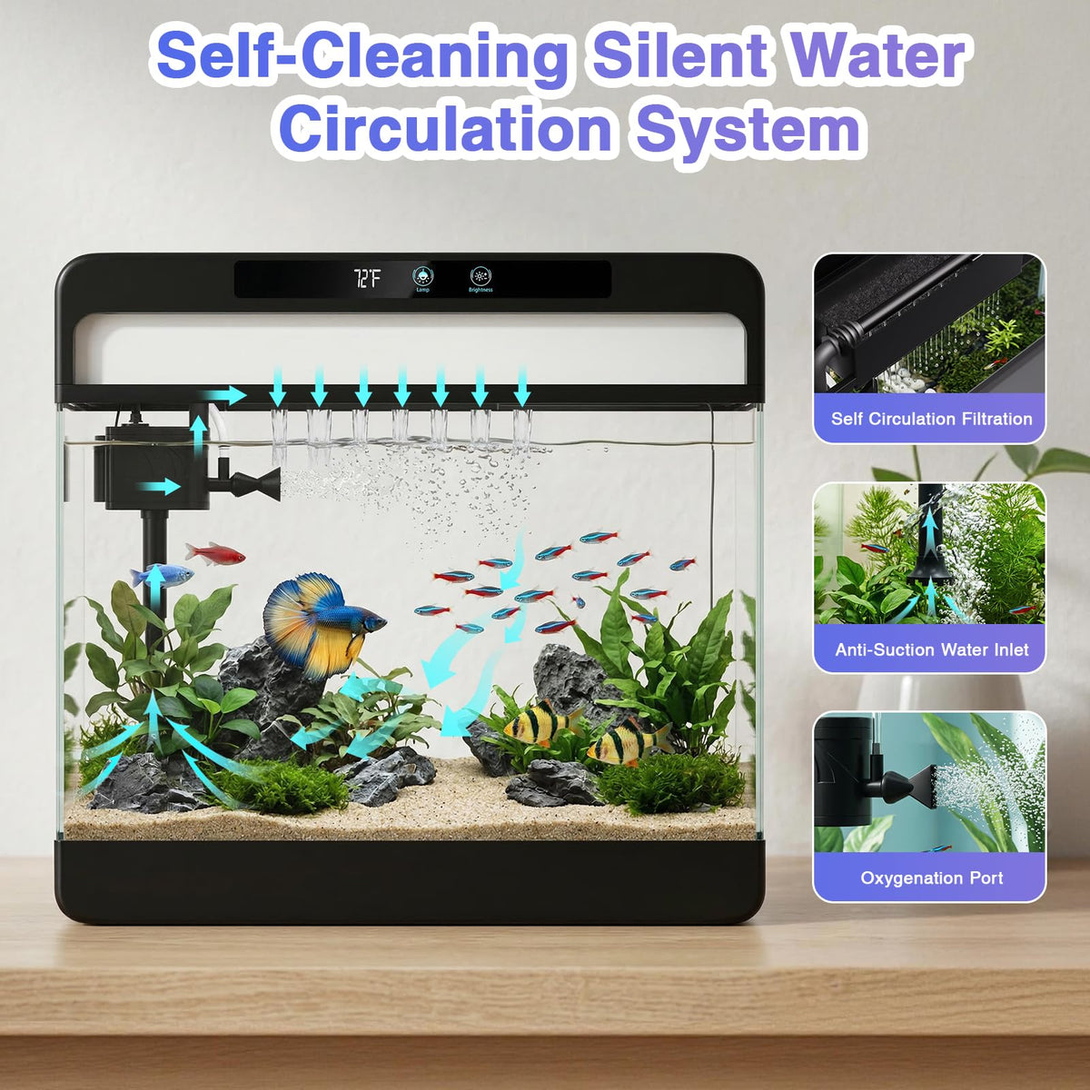 3 Gallon Black Aquarium Starter Kit D6267