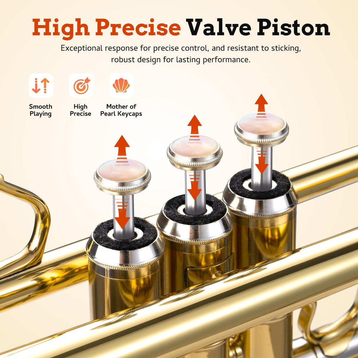 Bb Trumpet Brass Student Set R183074