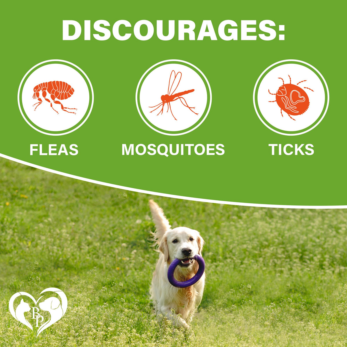 Chewable Flea and Tick Prevention Pills for Dogs A1449