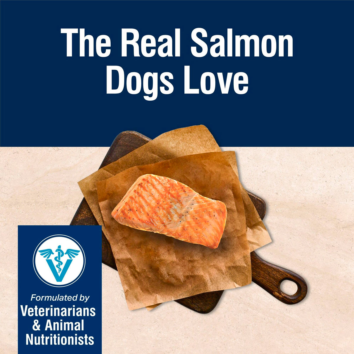 Salmon Dry Dog Food 4 lb A293