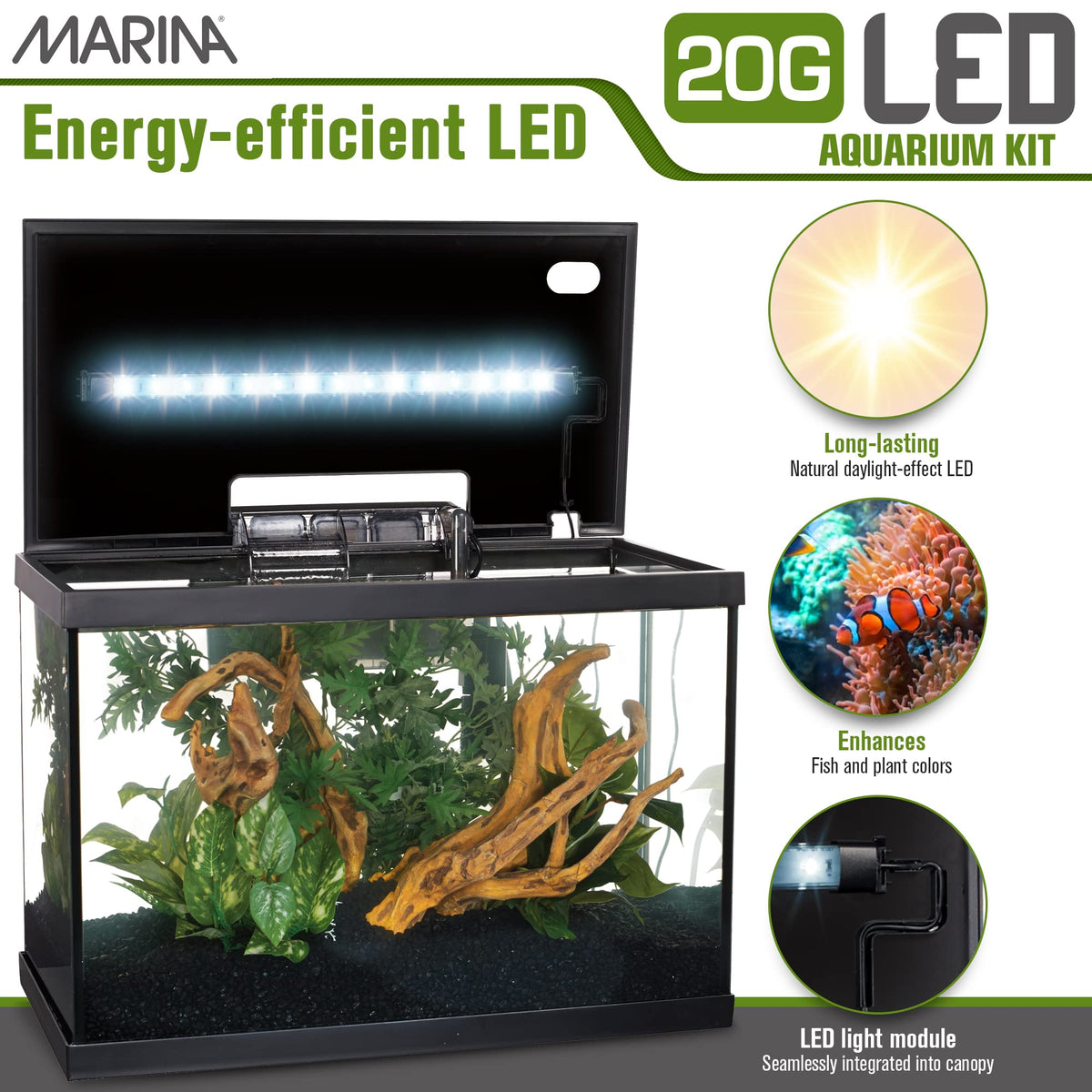 20 Gallon LED Aquarium Kit with Filter C886