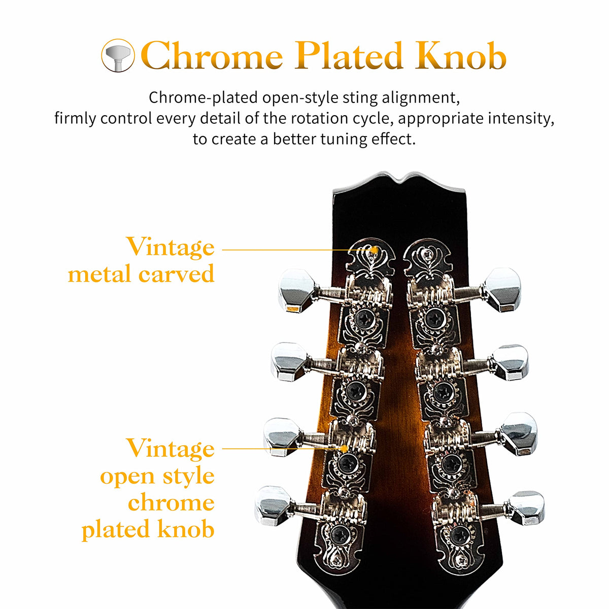 8 String Mahogany Wood Acoustic Mandolin Kit with Gig Bag P319639