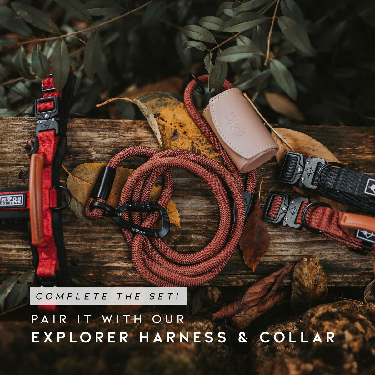 Climbing Rope Leash with Autolocking Carabiner, 6ft Z81564