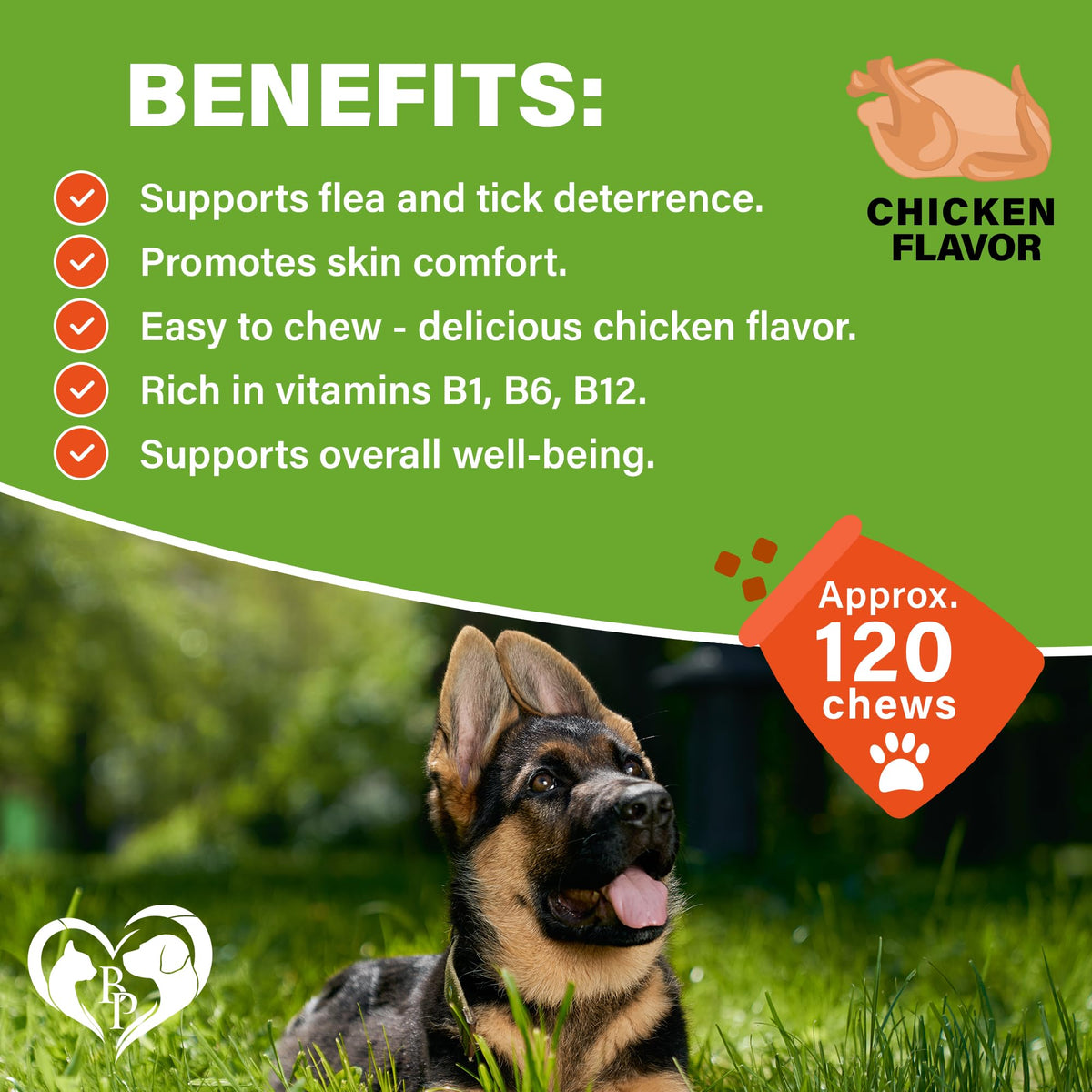 Chewable Flea and Tick Prevention Pills for Dogs A1449