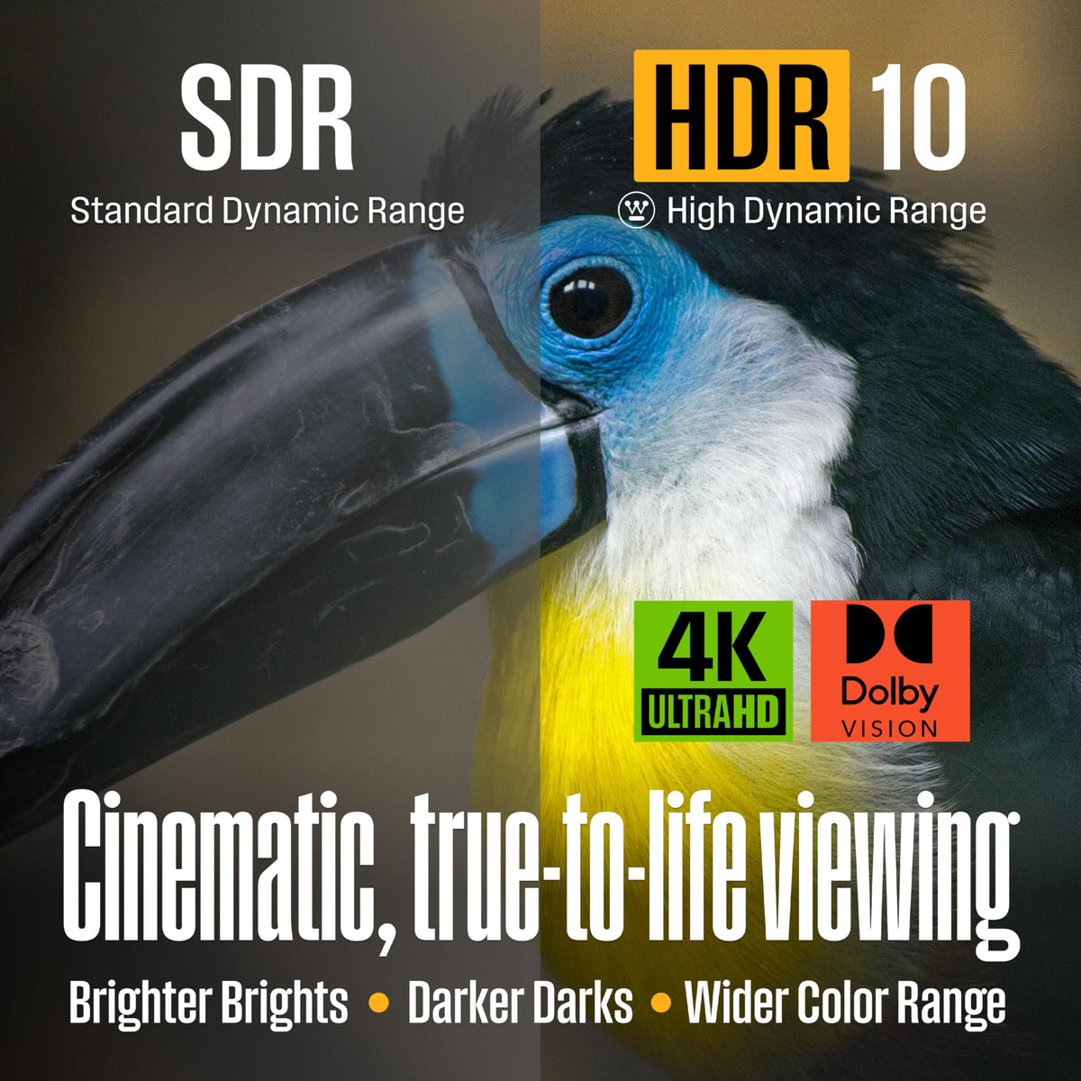 55 Inch 4K UHD Smart Outdoor TV F563593