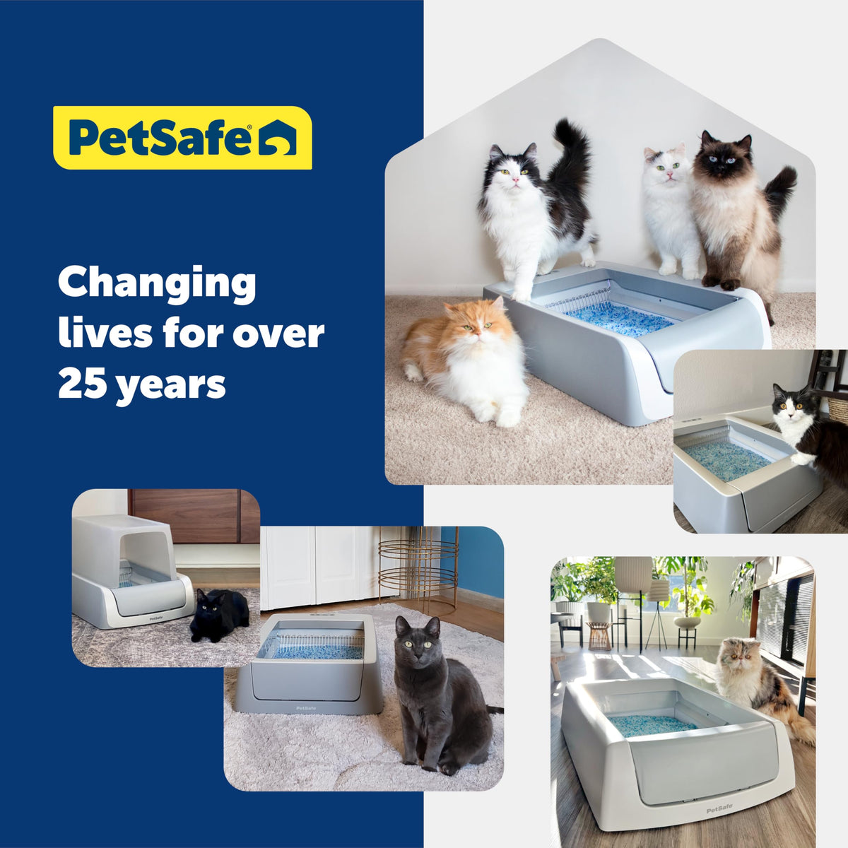 Crystal Disposable Litter Tray P508