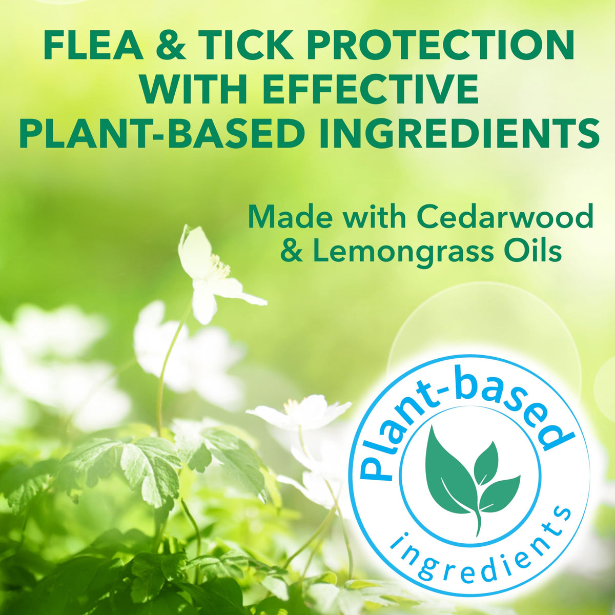 Flea & Tick Spray Treatment for Cats with Cedarwood and Lemongrass Oil, 14 Ounces D2720