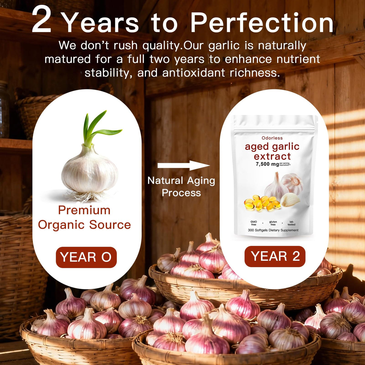 Odorless Organic Aged Garlic Extract Capsules Z17512
