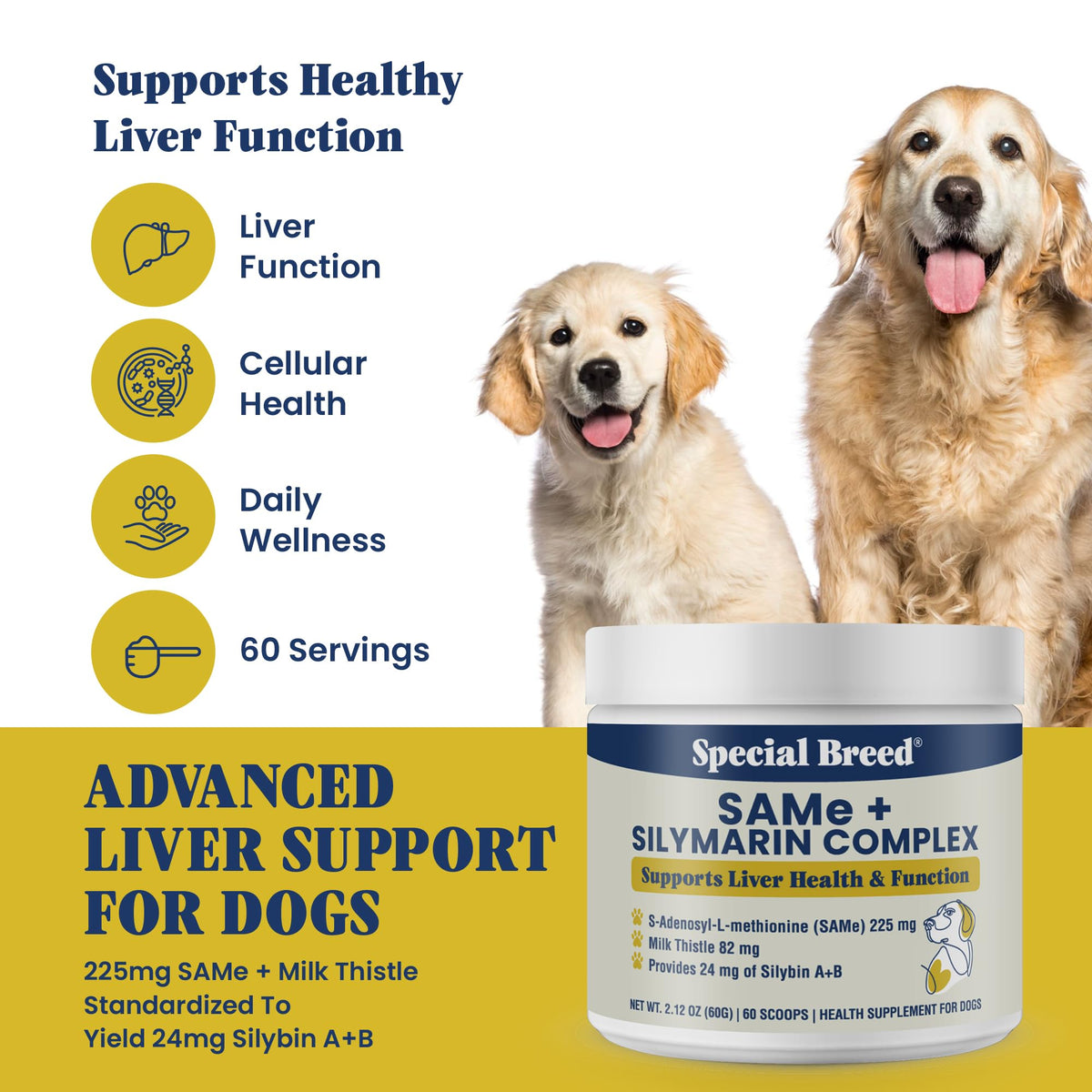 Milk Thistle Supplement Powder G99228