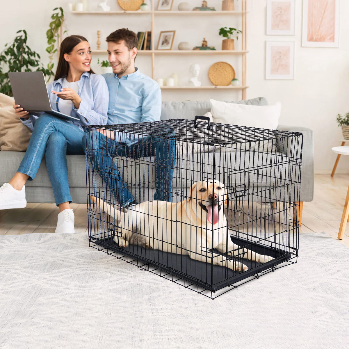 Double Door Folding Metal Wire Dog Crate with Tray G573445