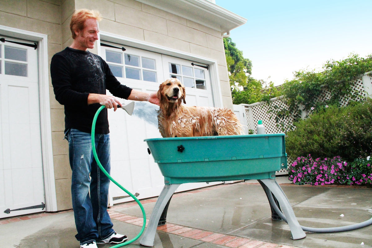 Elevated Pet Bathing Large H3779