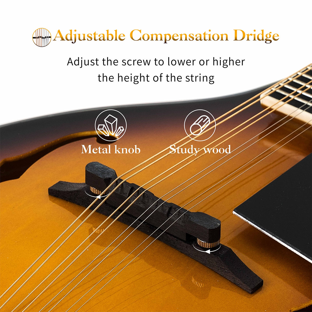 8 String Mahogany Wood Acoustic Mandolin Kit with Gig Bag P319639