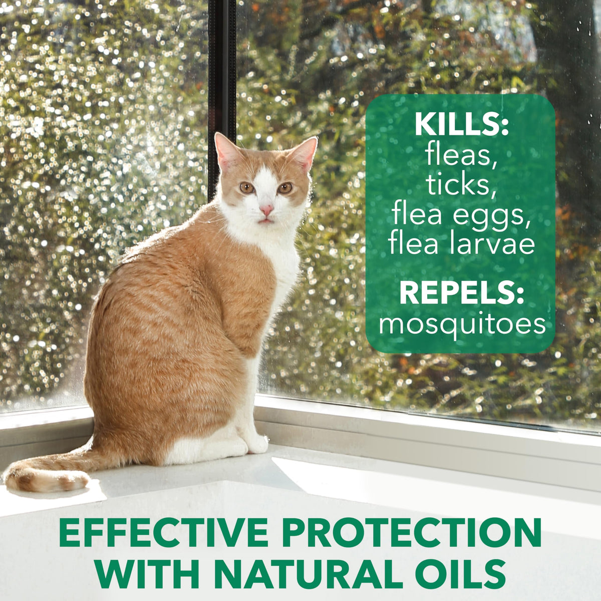 Flea & Tick Spray Treatment for Cats with Cedarwood and Lemongrass Oil, 14 Ounces D2720