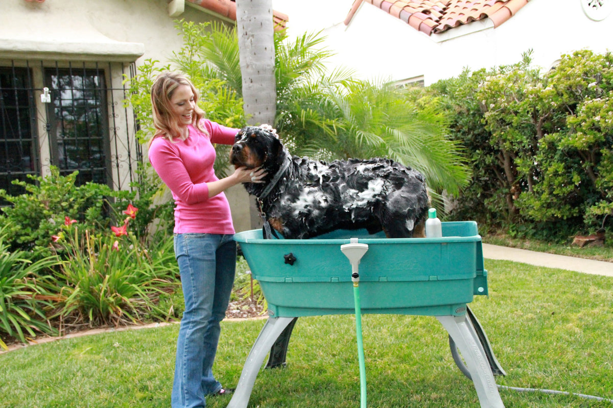 Elevated Pet Bathing Large H3779
